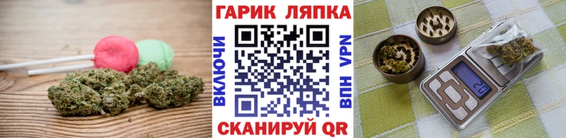 Купить  Тихорецк  Canna-Cookies конопля 