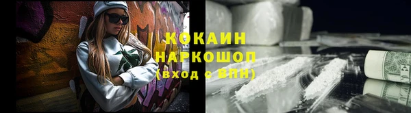 прущие грибы Верея