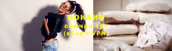 прущие грибы Верея